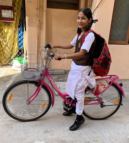 BSA Ladybird Diva 26T 